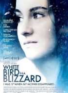 White Bird in a Blizzard