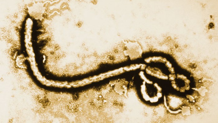 Worth the Risk of Ebola Worth the Risk of Ebola
