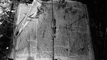 Limping through Scripture Limping through Scripture