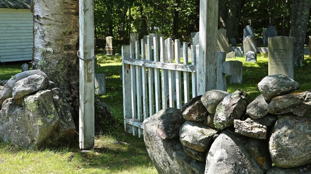 Grateful for Graveyards Grateful for Graveyards