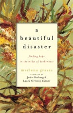 A Beautiful Disaster A Beautiful Disaster