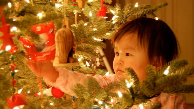 Have a Wonder-full Christmas Season Have a Wonder-full Christmas Season