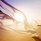 Missional Shift or Drift?