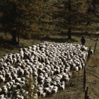 To Serve and Protect