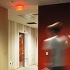 My Bitter Quesadilla