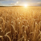 What to Do With a Day