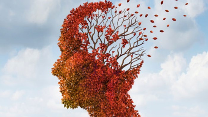 Standing up to Alzheimer’s Standing up to Alzheimer’s