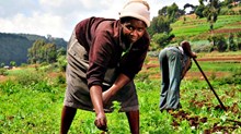 Microfinance Is a Women’s Issue Microfinance Is a Women’s Issue