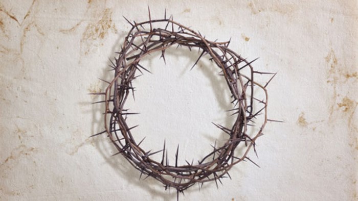 Pastors, We Are Not Kings Pastors, We Are Not Kings