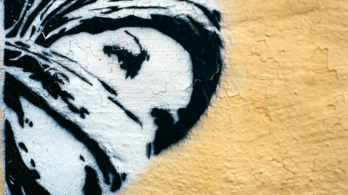 Why Women Turn to Terrorism Why Women Turn to Terrorism