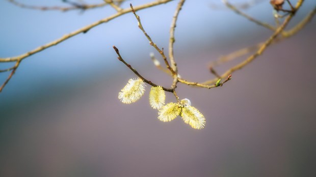 Healing—and Leading—After Tragedy, Part Three Healing—and Leading—After Tragedy, Part Three