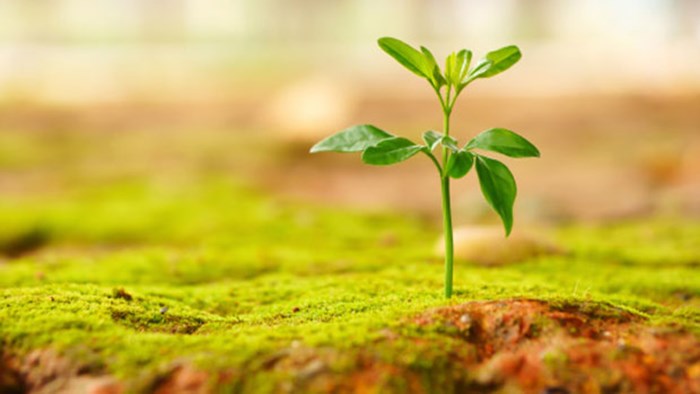 Is Christianity Inherently Optimistic? Is Christianity Inherently Optimistic?