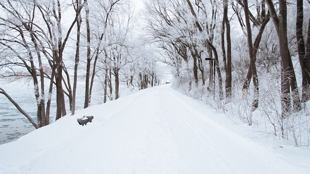 When Winter Lasts Too Long When Winter Lasts Too Long