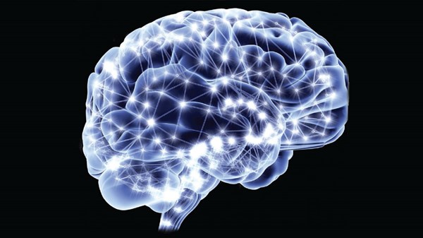 Can Neuroscience Help Us Disciple Anyone? Can Neuroscience Help Us Disciple Anyone?