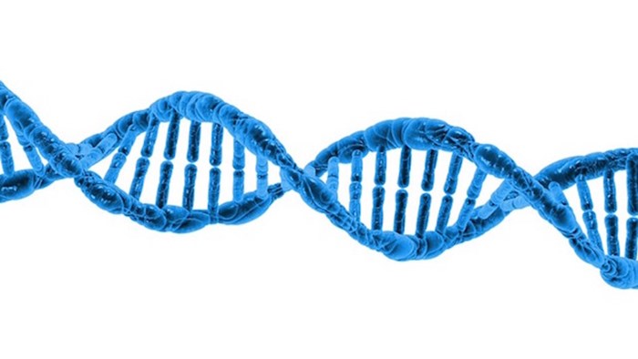 3 Reasons for Christians to Engage in Science 3 Reasons for Christians to Engage in Science