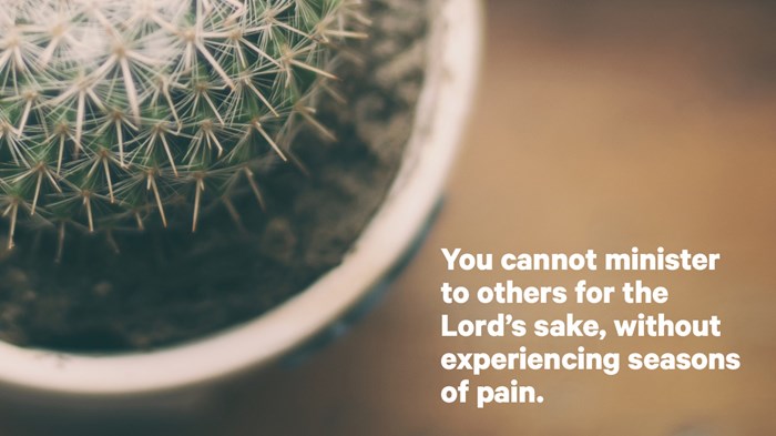 Taking Pains Taking Pains