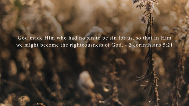 More Than Forgiven More Than Forgiven