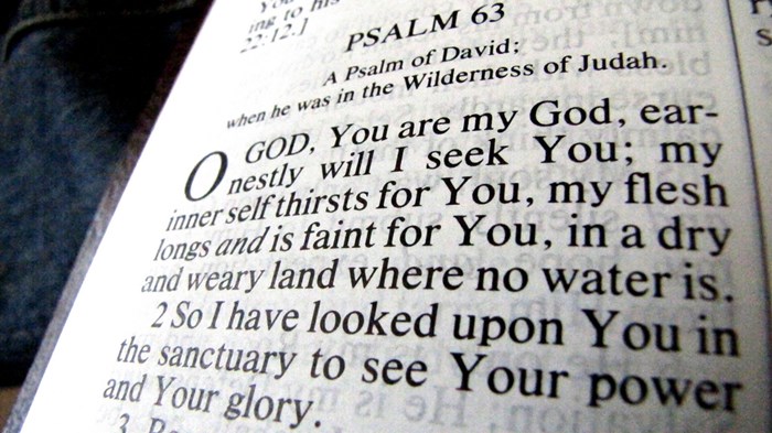Want Better Politics? Read More Bible, Say Half of Americans Want Better Politics? Read More Bible, Say Half of Americans