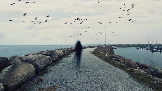 The Loneliness Epidemic The Loneliness Epidemic