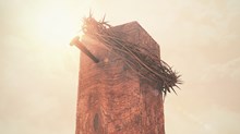 The God Who Cannot Suffer Suffered The God Who Cannot Suffer Suffered
