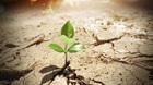 The Potential of the Church The Potential of the Church