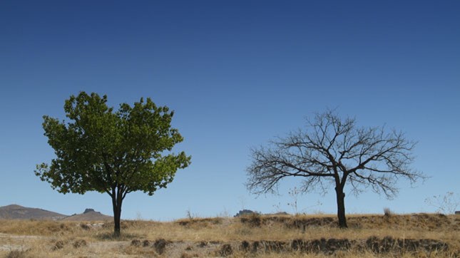7 Reasons Why Preaching Isn't Dead 7 Reasons Why Preaching Isn't Dead