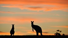 Are There Christians Making Movies Down Under? Are There Christians Making Movies Down Under?