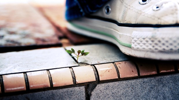 Six Reasons Why 'There Are No Small Churches' Isn’t True Six Reasons Why 'There Are No Small Churches' Isn’t True