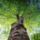 How Healthy Is Your Leadership? How Healthy Is Your Leadership?