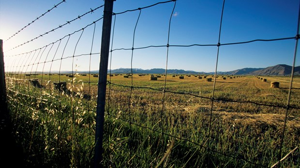 Breaking Down Fences