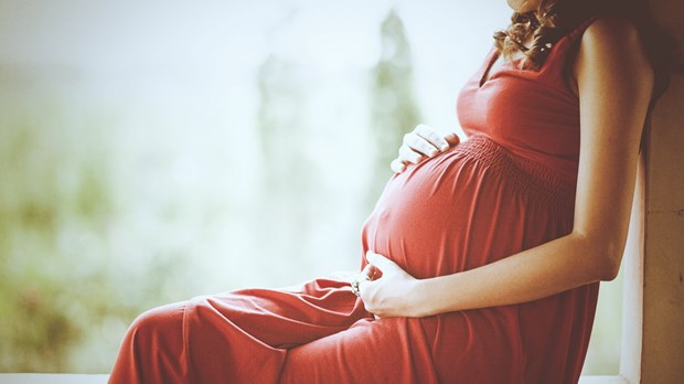 Four Minutes of Life Four Minutes of Life