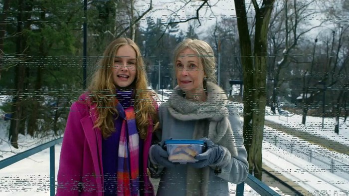 The Visit The Visit