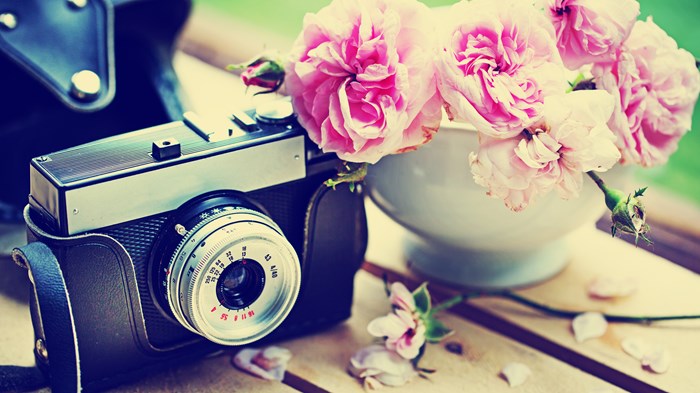 Can the Baker, the Florist, the Photographer, and the Clerk Win? Can the Baker, the Florist, the Photographer, and the Clerk Win?