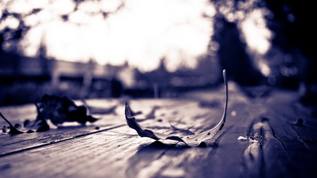 The Season of Waiting The Season of Waiting