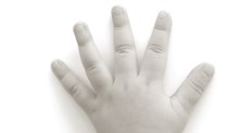 A Pro-Life Plea This Election Season A Pro-Life Plea This Election Season