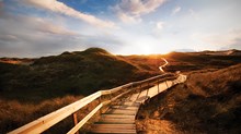 Arends: The Expansive Path Arends: The Expansive Path