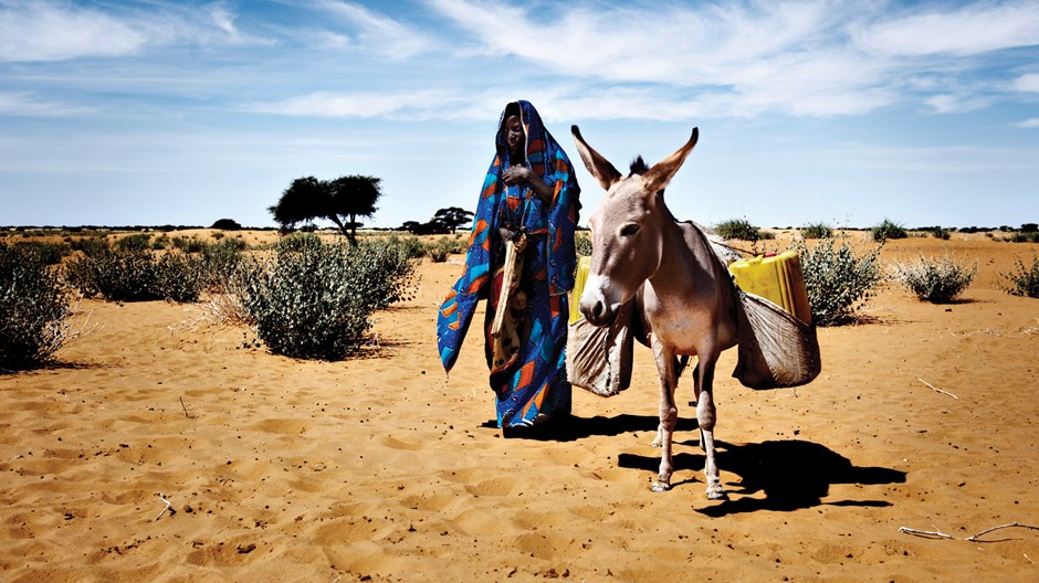 Pushing Back the Desert: Niger's Christians Get Creative for Daily Bread