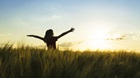 The Joy You've Always Wanted The Joy You've Always Wanted