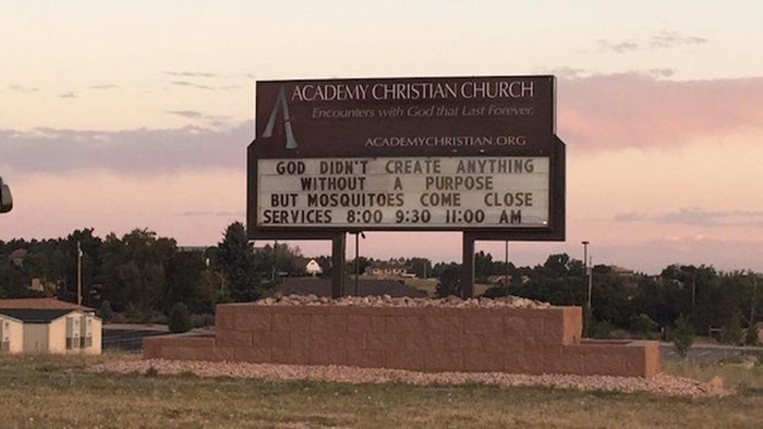 Weekend Edition: November 13, 2015