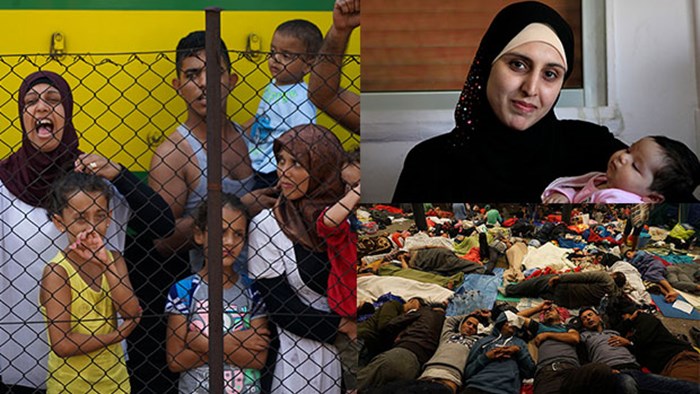 Love the Refugee With the Compassion Christ Has Shown You Love the Refugee With the Compassion Christ Has Shown You