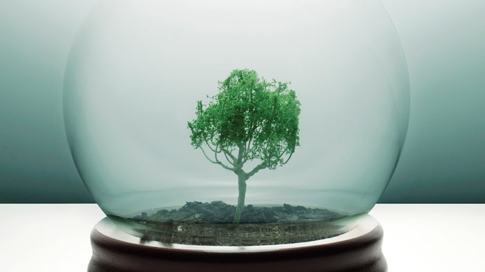 A Covenant with the Earth A Covenant with the Earth