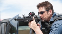 Benecio del Toro in 'Sicario'