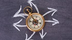 The Counterintuitive Life The Counterintuitive Life