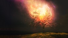 Moses, a Burning Bush, and Your Calling