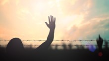 A Sane Approach to the Refugee Crisis A Sane Approach to the Refugee Crisis