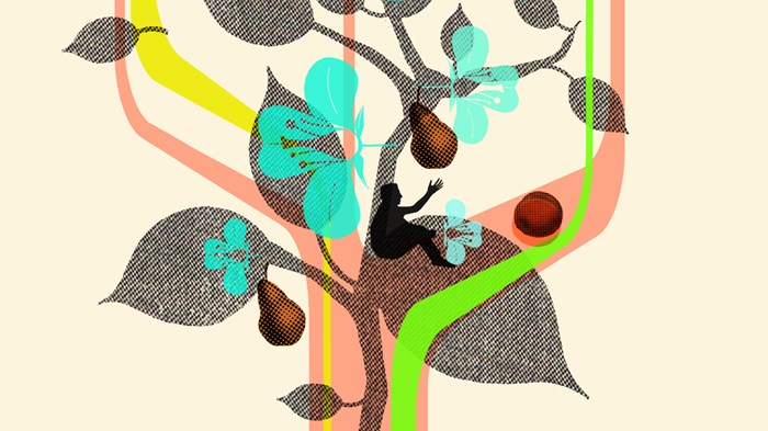 ¿Qué es tan peligroso sobre la gracia? ¿Qué es tan peligroso sobre la gracia?