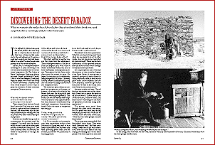 Discovering the Desert Paradox Discovering the Desert Paradox