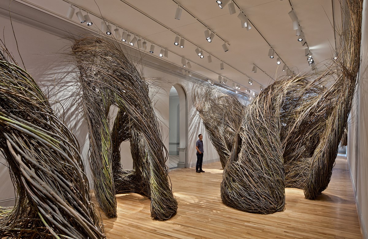 Patrick Dougherty searches the world for bendable branches and sticks for his sculptures, such as the Renwick’s “Shindig.”