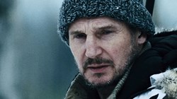 Liam Neeson in 'The Grey'