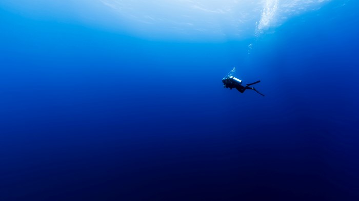 Deep AND Wide Deep AND Wide